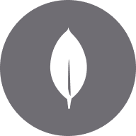 MongoDB.png MongoDB.png